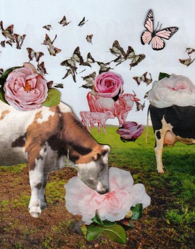 "Flower Cows" / "Blumen-Kuhe", cosma terra ccc, 2017