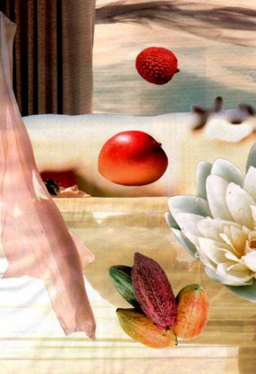 "White Out", "Summer River Fruits" / "Sommer Flussfrüchte", 2011, 5.5 in. x 7.75 in., available as hand-signed limited edition of 20 digital art photo prints on glossy paper  , 45 € + Postage; "Sommerflussfrüchte", 14 x 20 cm, als hand-signierte Digitalkunstfotodruck in eine Auflage von 20 Stück cm, 45 € + Versand